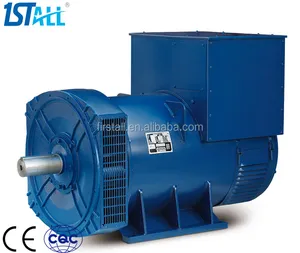 Generator Tanpa Sikat 250W