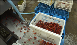 ماكينة إزالة ساق الكرز, ماكينة إزالة ساق الكرز - Product Image 5