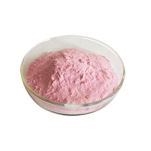 Ekstrak Acerola VC17 % Kapsul Tablet Bubuk Ekstrak Ceri Koniferus Yang Baik - Product Image 3