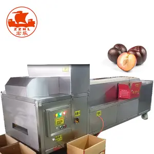 Máquina de enchimento da ameixa preço/apricot stoner