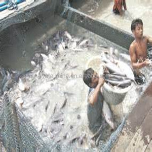 Mangime per pesci il 50% di proteine integratore alimentare - Product Image 1