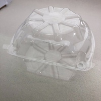 Boîte en plastique jetable à motif de bleuets pour l'utilisation industrielle alimentaire, conteneur d'emballage en plastique