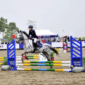 חסות סוס מופע קופץ כנף עם אלומיניום keyhole מסלול - Product Image 2