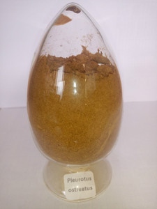 nous fournissons haute qualité <span class=keywords><strong>pleurotus</strong></span> <span class=keywords><strong>ostreatus</strong></span> extrait - Product Image 1