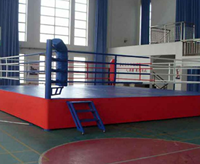 Toiles de tennis de boxe personnalisées 4m/5m/6m/7m/8m, équipement pour anneau d'entraînement thaïlandais