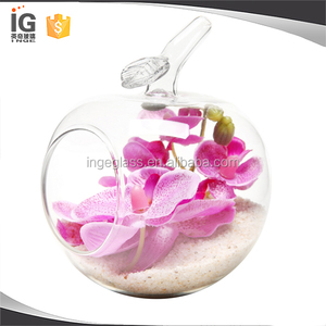 <span class=keywords><strong>Terrarium</strong></span> en forme de pomme/de perle, plante d'intérieur succulente, <span class=keywords><strong>Terrarium</strong></span> - Product Image 2