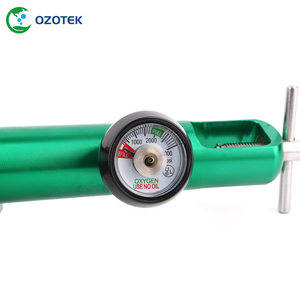 Tıbbi ozon jeneratörü için OZOTEK oksijen debimetre regülatörü CGA540 - Product Image 5