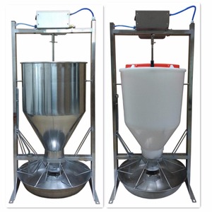 automatic hog feeder