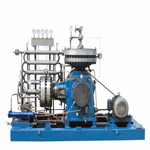 20 / 700bar Biogas Amonia Lpg Cng Co2 Oksigen Alat Tekanan Tinggi Screw Type Diafragma Propana Mini Kompresor Udara (380V)