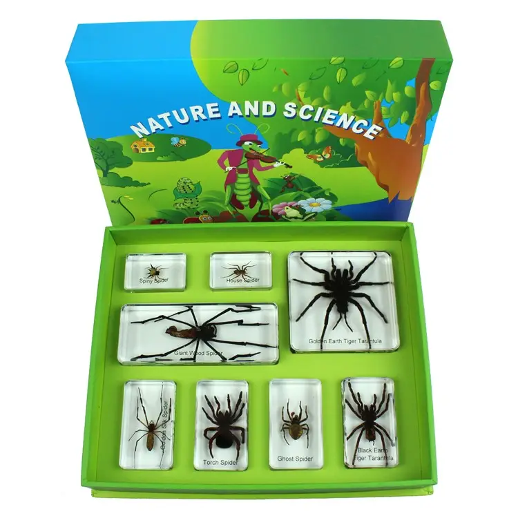 Real Insects Resin Spiders Embedded Specimen Block Toys for Preschool