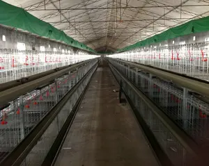 broiler/ layer cage