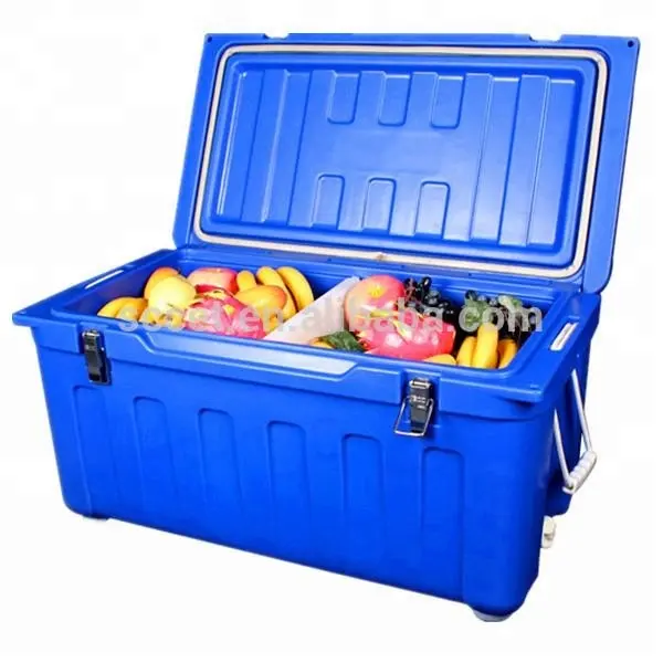 cold box fishing Icey-Tek 70 Litre Split Lid Cool In fact Small Plano Frost Hard Cool