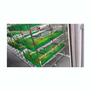 Systèmes de culture hydroponique automatiques de 1000kg | Machine à germer les fourrages biologiques à vendre - Product Image 2