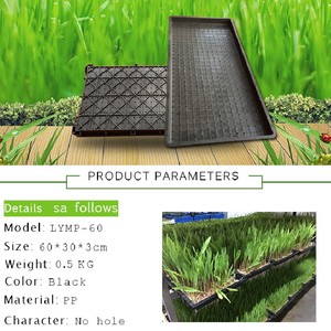 600*300mm Size plastic zaailingenplateau voor rijstveld zaad nursery zaaien - Product Image 2