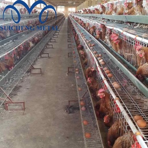 การออกแบบบ้านไก่ไข่สำหรับชั้น/กรงแบตเตอรี่ชั้นวางไก่/กรงไก่สัตว์ปีก - Product Image 5