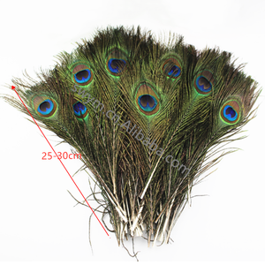 Giá Tốt Nhất Tự Nhiên Peacock Tail Feathers 10-12in Peacock Feather - Product Image 1