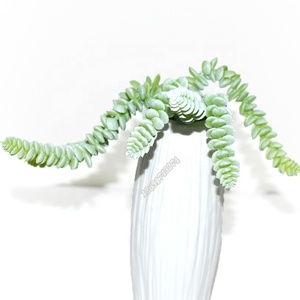 Grama artificial, novo toque verdadeiro decoração interna plástico planta 6 cabeça dinheiro grama suculente - Product Image 1