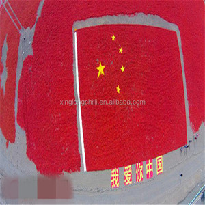 Ớt Đỏ mất nước Ớt ngọt có cuống - Product Image 3