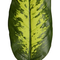 Penjualan Langsung Pabrik Daun Evergreen Buatan 65cm Aksesoris Dekoratif Dalam Ruangan untuk Halloween dan Natal Bahan PVC