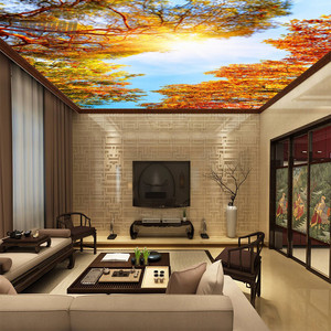 Controsoffitto in Pellicola Traslucida <span class=keywords><strong>con</strong></span> Illuminazione <span class=keywords><strong>LED</strong></span> Dietro, Controsoffitto Falso - Product Image 2