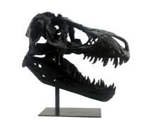 Tête d'animal en résine sculptée en 3D tête de tyrannosaure T Rex tête de dinosaure pour la décoration intérieure