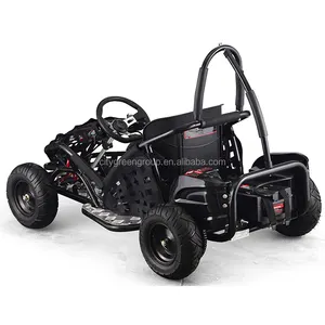 48V 1000W Elektrische Go Kart Met Borstelloze Motor