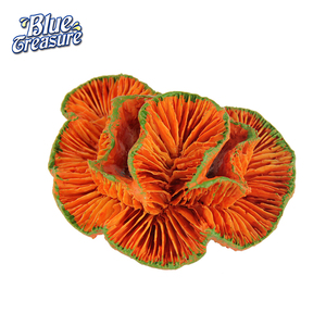 Nuevo Producto corales artificiales frag para la decoración del acuario - Product Image 4