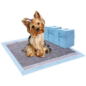 puppy pads your face sounds <strong>familiar</strong> merchandise mattress(<strong>pet</strong> pad )making machine with factory price - Product Image 1