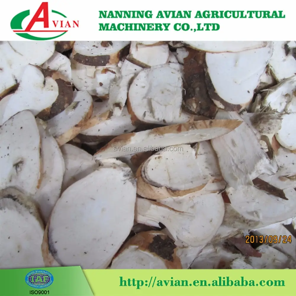 High Technology and Good Working Cassava Chips Machine / Cassava Chipper for Cassava Ethanol Plant