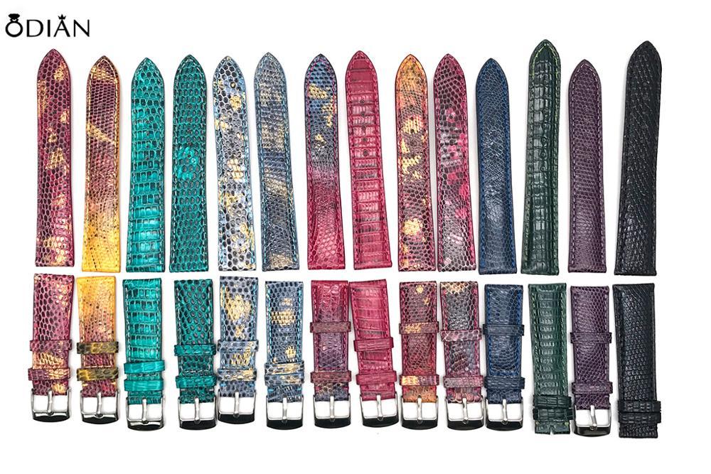 lizard colors