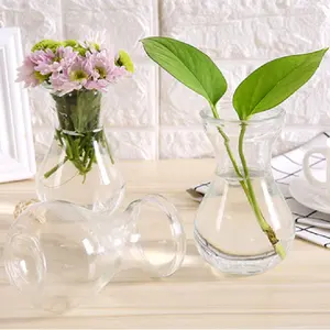 יקינתון אגרטל עם צבע בית מודרני זכוכית פרח אגרטל אופנה דקור זכוכית צנצנת