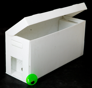 2020 Bee queen mating foam plastic nuc box