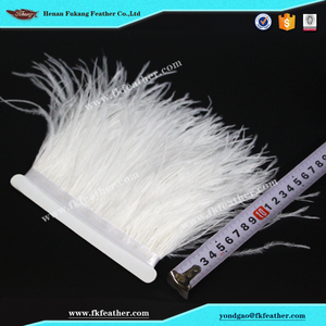 Fukang <span class=keywords><strong>blanco</strong></span> al por mayor <span class=keywords><strong>de</strong></span> plumas <span class=keywords><strong>de</strong></span> <span class=keywords><strong>avestruz</strong></span> cinta uso en graduación diseño <span class=keywords><strong>de</strong></span> vestuario - Product Image 3