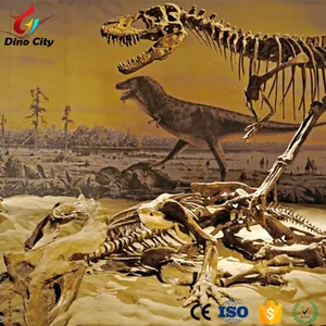 Dijual Ukuran Nyata Kerangka Kaca Serat Model Dinosaurus
