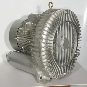 5.5kW Yüksek Basınçlı endüstriyel hava fanı Ring Blower Vortex Hava Vakum Pompası Hava Üfleyici