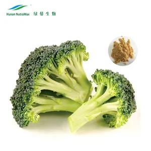 Bubuk sayuran kecambah kualitas makanan konsentrat 10:1 bubuk brokoli