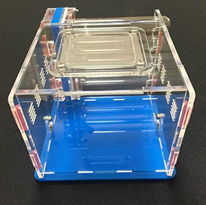 Acrílico hormigas vivienda <span class=keywords><strong>nido</strong></span> <span class=keywords><strong>de</strong></span> jaula <span class=keywords><strong>de</strong></span> granja <span class=keywords><strong>de</strong></span> hormigas <span class=keywords><strong>nido</strong></span> 4 tubos <span class=keywords><strong>de</strong></span> ensayo <span class=keywords><strong>de</strong></span> reptil <span class=keywords><strong>de</strong></span> <span class=keywords><strong>la</strong></span> jaula - Product Image 3