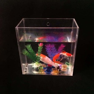 <span class=keywords><strong>Mini</strong></span> <span class=keywords><strong>aquarium</strong></span> durable, produit de qualité supérieure, vente en gros, - Product Image 3