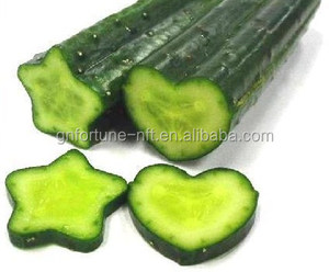 Forma del corazón molde forma de estrella para el pepino vegetal crecer - Product Image 6