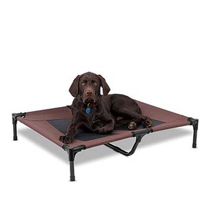 cot style dog bed