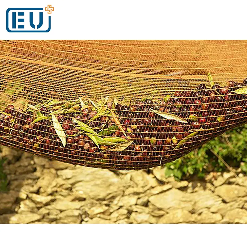 mature season olives harvest nets for farms