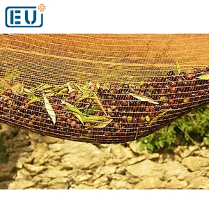 成熟した季節のオリーブは農場のためのネットを収穫します