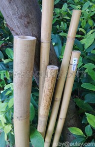 Los postes de bambú de <span class=keywords><strong>Guadua</strong></span> se pueden dividir - Product Image 5