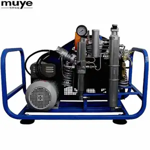 电动潜水水肺空气压缩机 300bar 高压彩弹填充空气呼吸系统