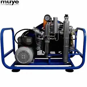 전기 다이빙 Scuba Air Compressor 300bar (High) 저 (압력 페인트 볼 필 Air System 대 한 호흡