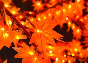 Bán buôn ngoài trời Nhà Bên lễ hội đám cưới 3M LED <span class=keywords><strong>Cone</strong></span> Trắng giáng sinh chiếu sáng trang trí cây ánh sáng - Product Image 6