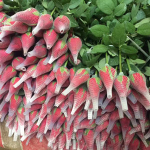 Linea di produzione di plastica per imballaggio di frutta e verdura borsa a rete con fiori di rosa - Product Image 5