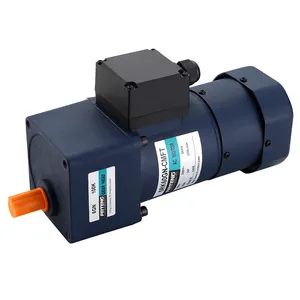 ต่ำ Rpm ขนาดเล็ก Ac ความเร็วลดเกียร์มอเตอร์แรงบิดสูง Dc Gearmotor