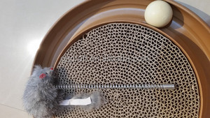 Aimigou Bergan Turbo Cát Scratcher Mèo Đồ Chơi (Màu Sắc Thay Đổi) - Product Image 5