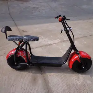 Netherlands Warehouse Citycoco Electric Scooter/Electric Adults Electric Motorcycle